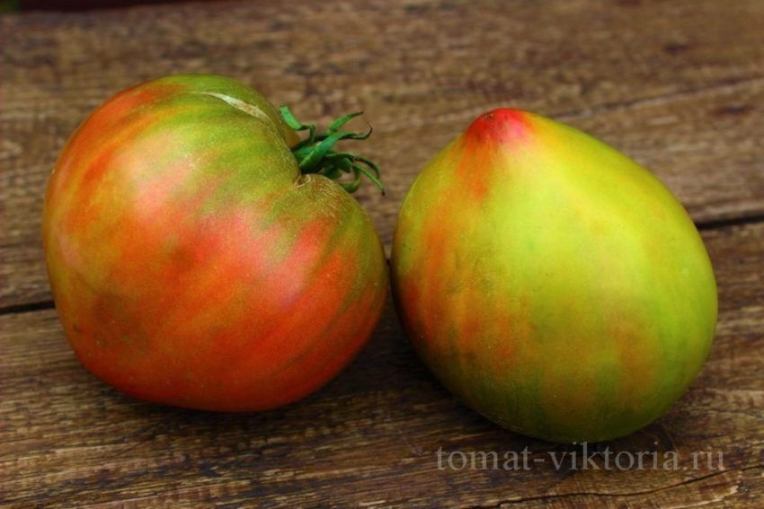 ������ � ���������� �������� � ������� ������: ����������� � ������ ��������� �����