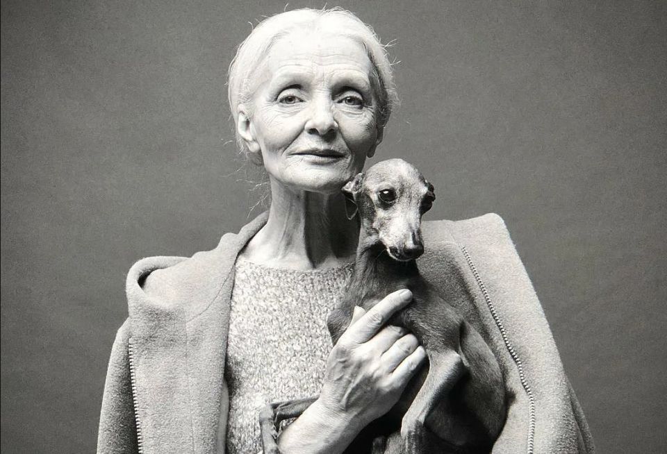 13 ��������, ������� ����� �������� �����