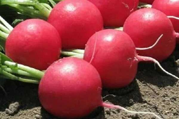 ����� ������: ������� ������ � ������� �����