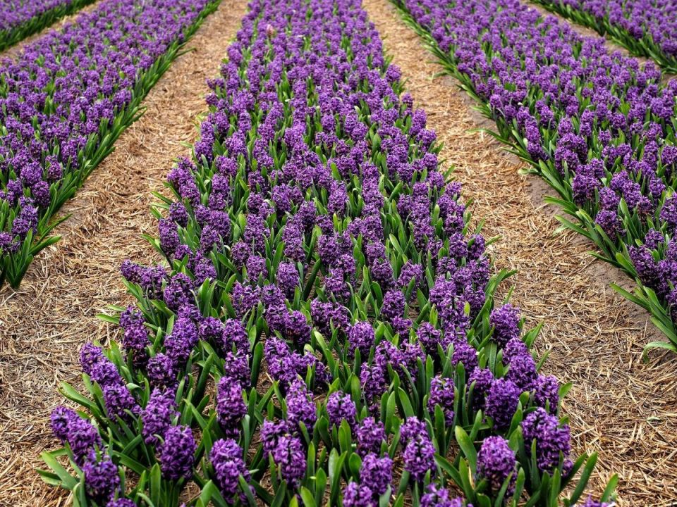 ��� ����������� �������� � 8 �����: ������� ��������� ��������� ���������