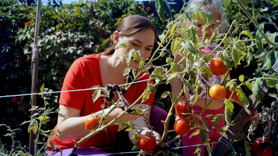 ������ �� �������� ������ ����� ��-�� ������: ��� ������?