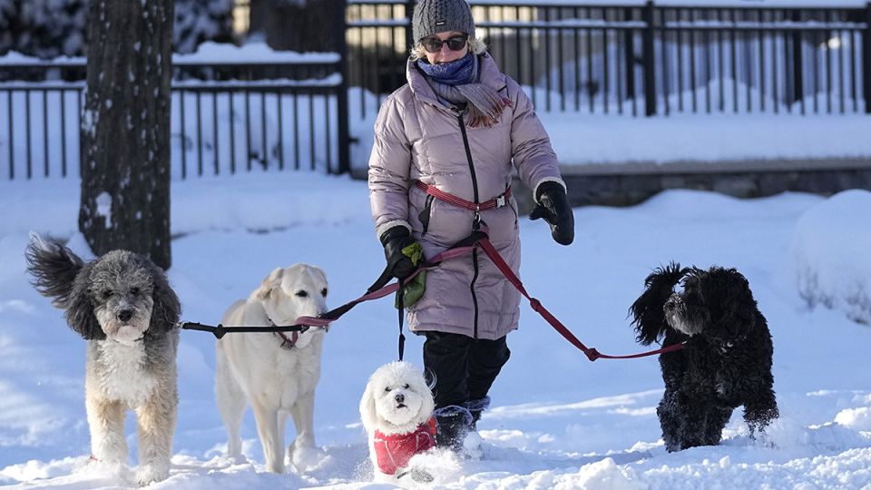 ������� 2026: ��� ���� ������� � ��������� ������?