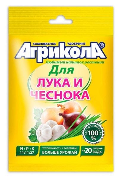 Как правильно подкормить лук севок для богатого урожая