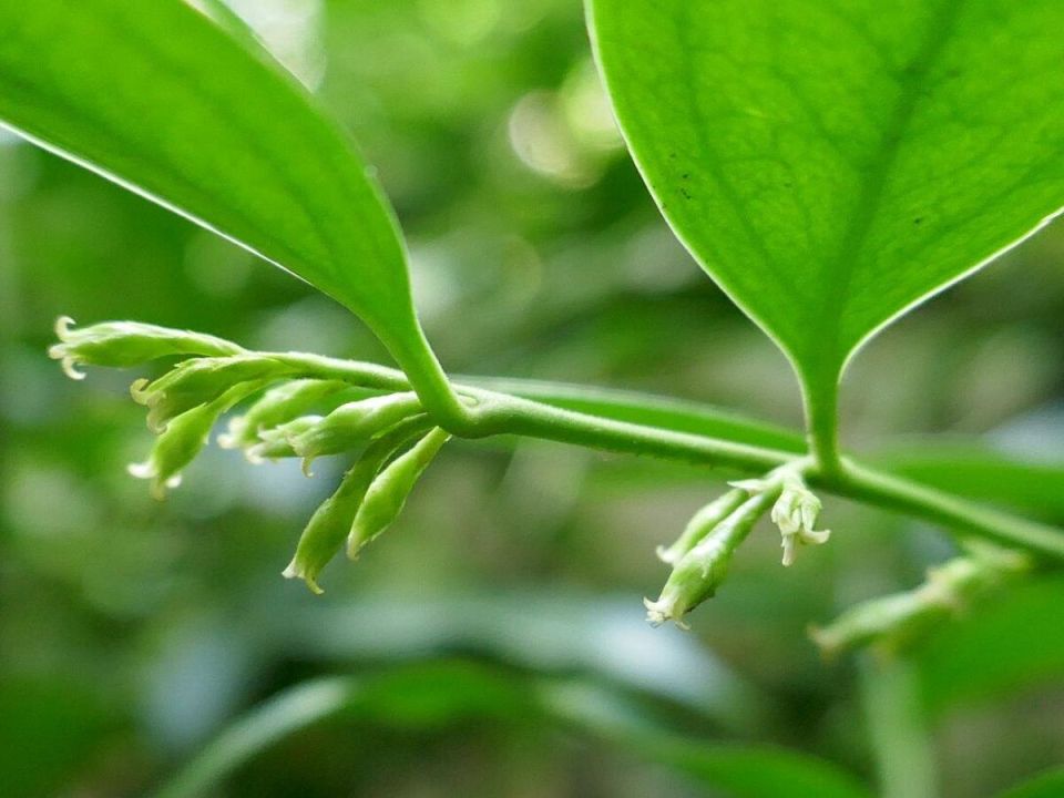 ����������: ������� ������� ���� � ����