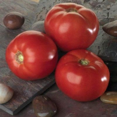 �����, ������� ��������: ����� ���� � � ���������� ��������������