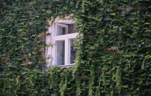 ������ ��������� �������� ����� �������� ��� ��� � ��������