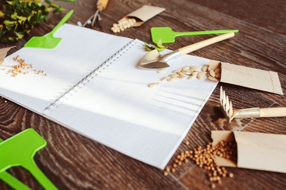 ��������� �����: ��� ������������ �������� ������