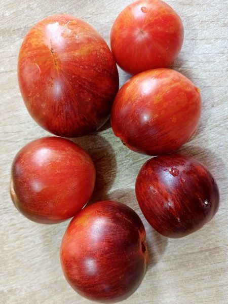 ����� ���������� ������: ������������ ���� � ������� ����