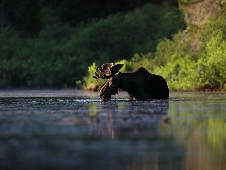 �������� �� ����: ��� ����� ������� ����� �� ����� � ��� ��� �������� � �������������