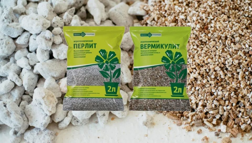 Вермикулит и перлит: выбираем правильно для каждого растения