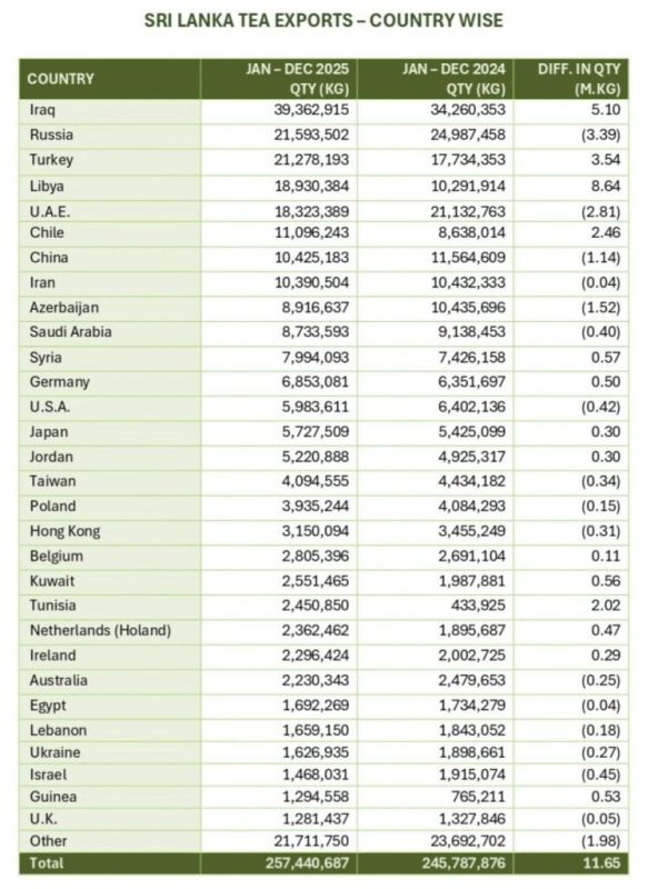 Кто ценит черный чай больше всего: неожиданные лидеры в рейтинге импортеров