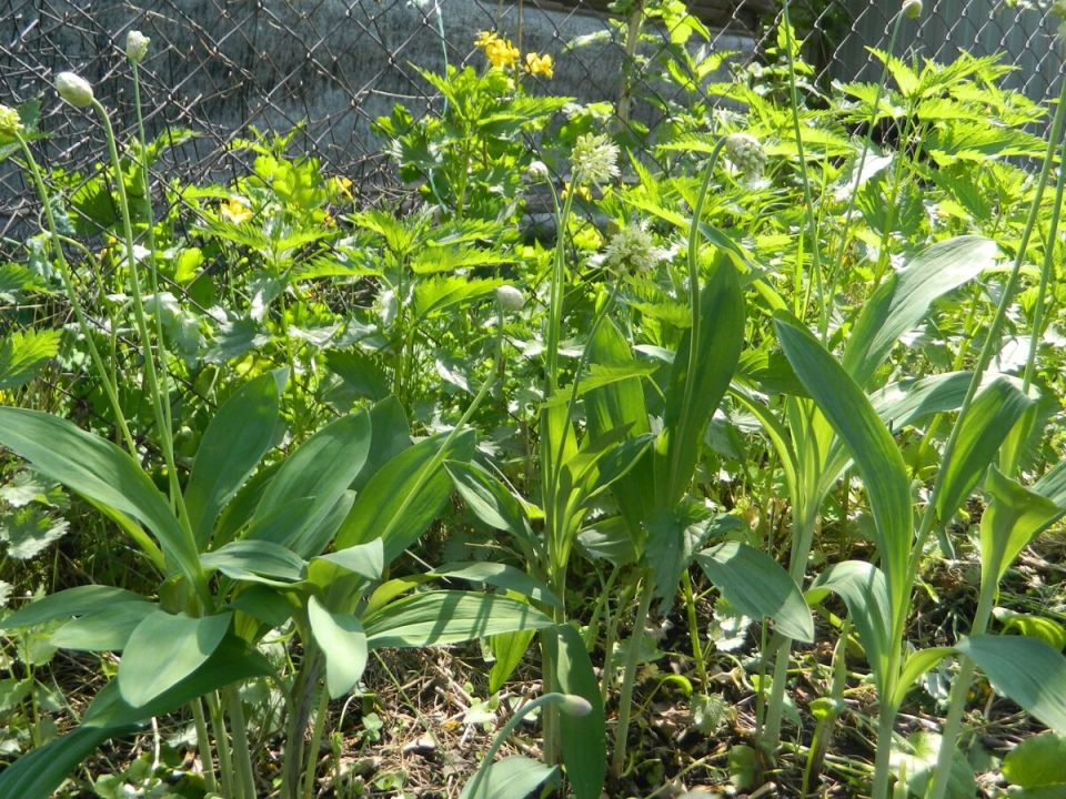 �������� � ����: �����, ������� ����� ���������� ���� � ������ ���������