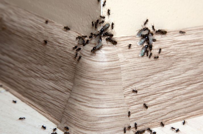 ������� �� ������: ��� �������� ��� �� �������� ������