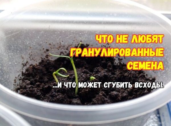 ��� ���������������� ������ ��� ������ ��������������� �����, ������� ������ �������