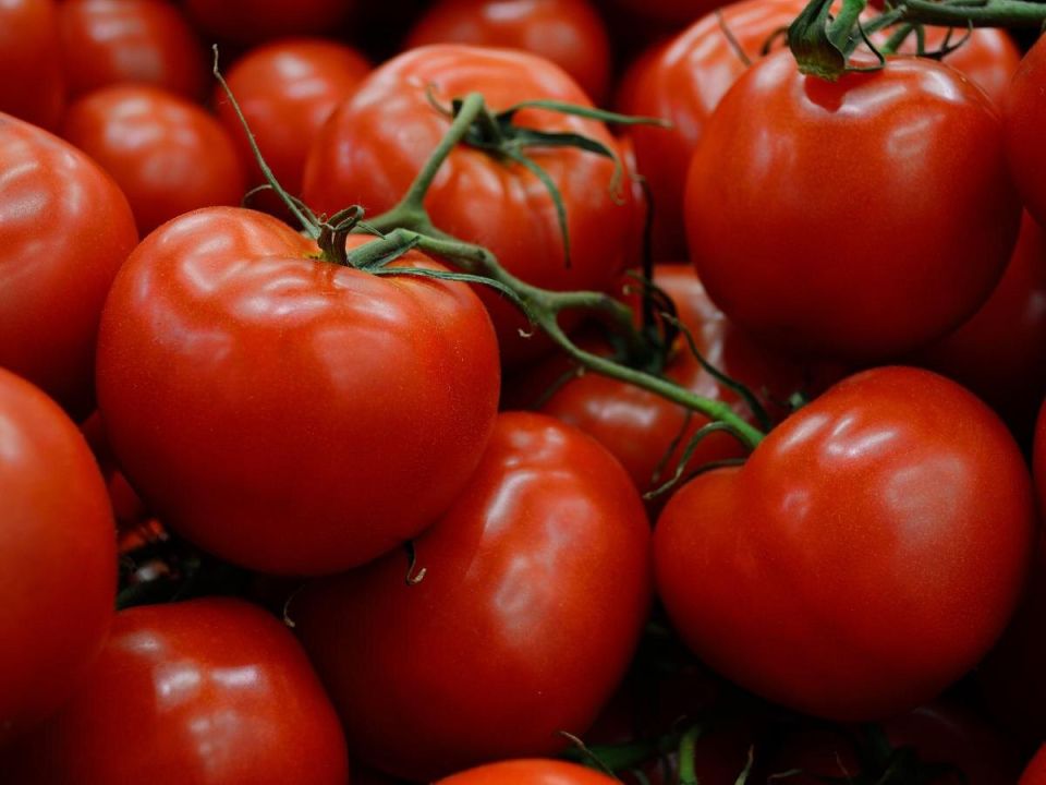 ��� �������� ������ �� �������: 9 ������� ������