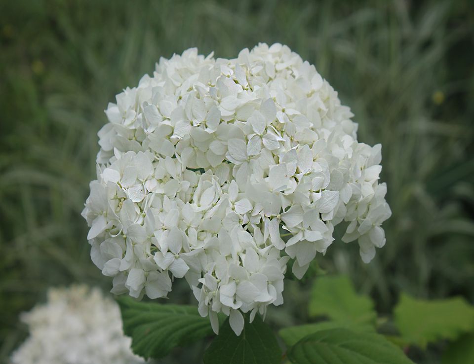 ���������: ��������� ����� ��� ������ ����