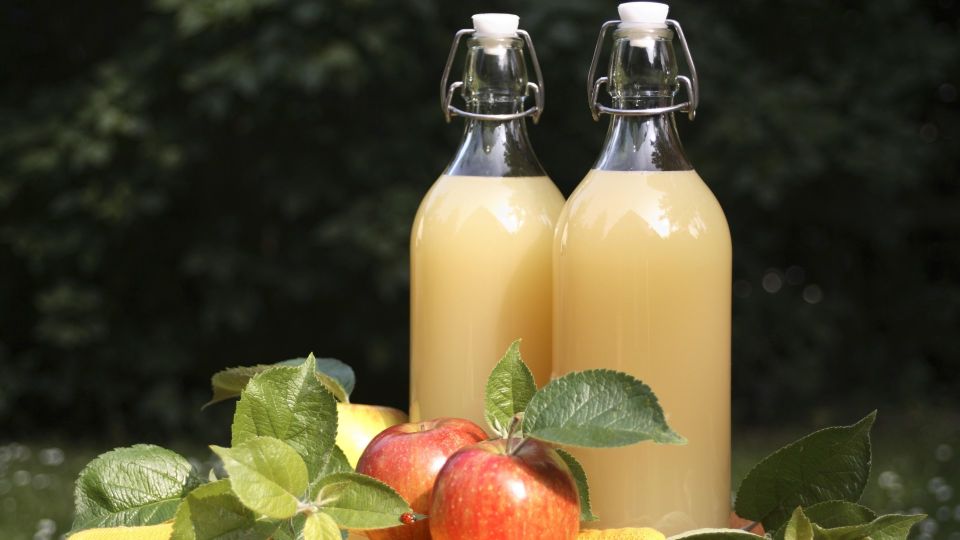 ������������� �� �����������: ��� ������ �������� ��� � ������� �����