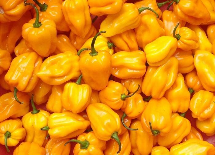 ������ �� �������: ������ ����� ������ ������� � ����� �����