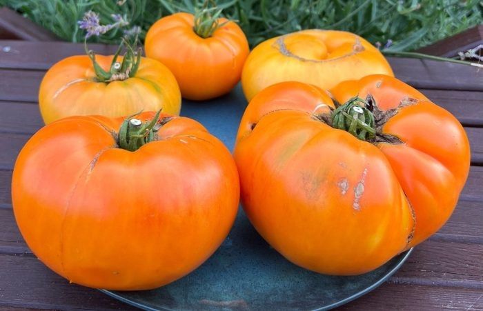 ����� ������ ��������� ������: ��� ��������� ��������� ���� � ���������� ������