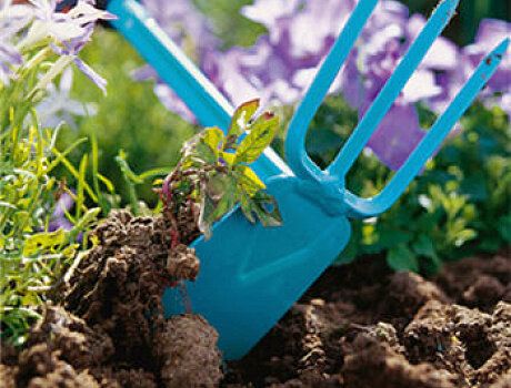 ����������� ������� ������ � ��������� �� ���� ������