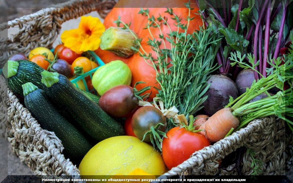 ������ � ����� ����: ������� ����� �� ������� � ������� ���������