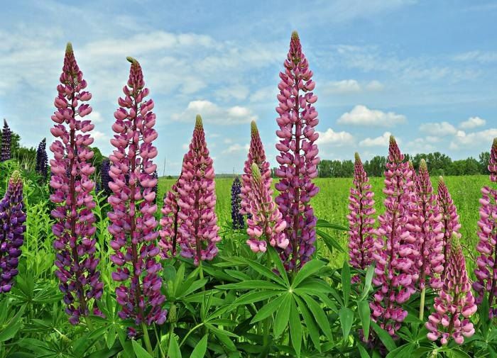 �������� ��� ������������ ������� ��� ������ ����: 4 �����, ������� ��� ������