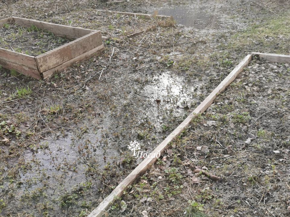 ����������� ������ ������� ���: ������� �� ������ ���������