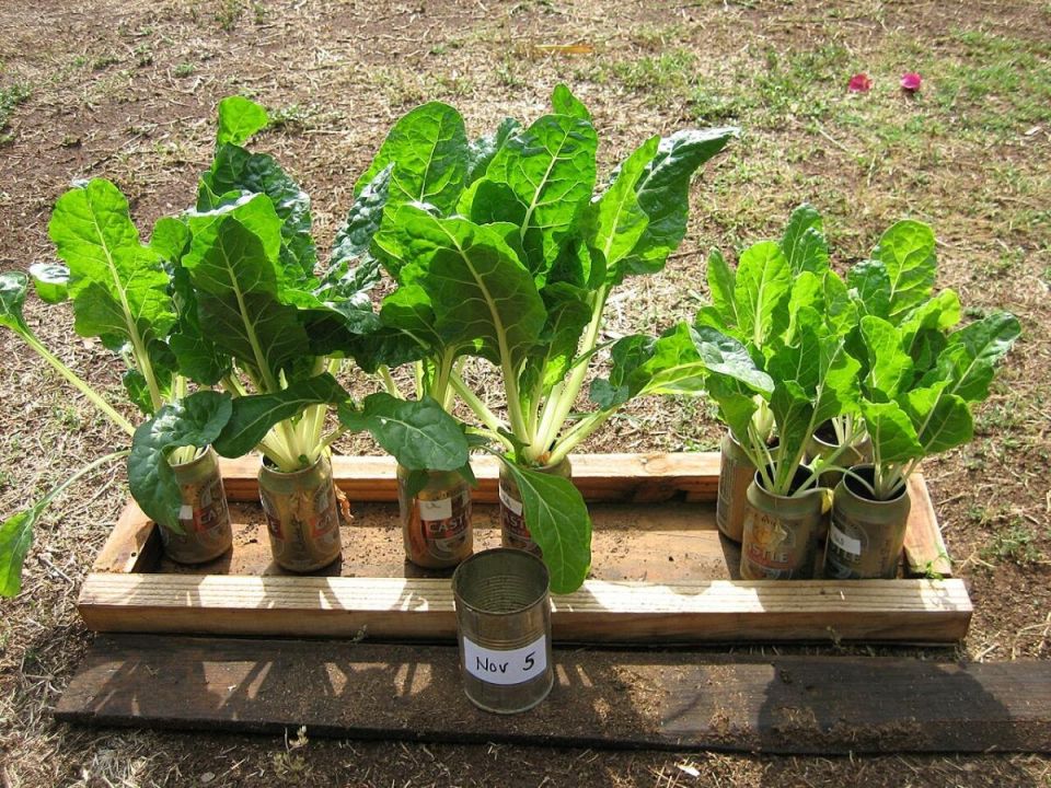 ��� �������� ������� ��������� �� ���� ������� � ������� ��������