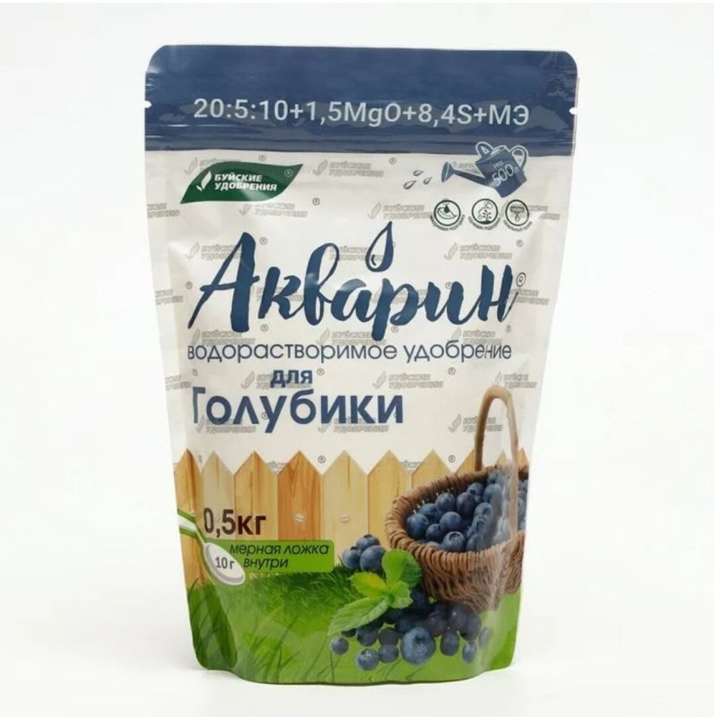 Как правильно вырастить голубику в своем саду