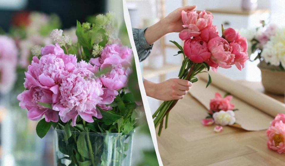 ��� �������� ����� ������ ������: ������� ����� � ������ �� ���������� ��������