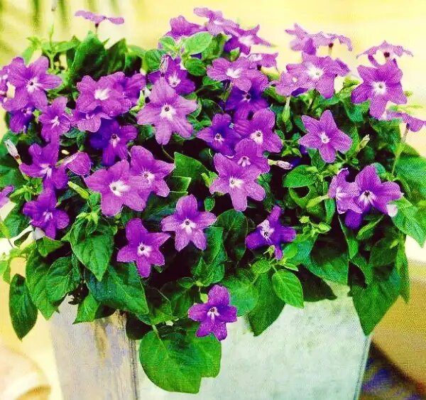 ���������: ��� ���������� ����� ������ � ���������� ���������� ��� ������ ����