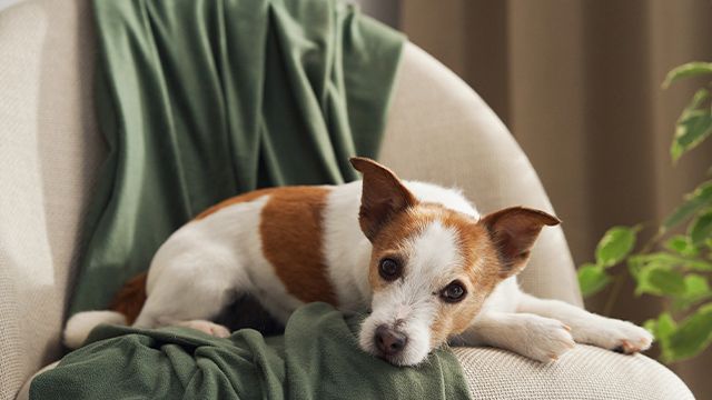 Как защитить свои интересы при покупке квартиры: важные нюансы задатка