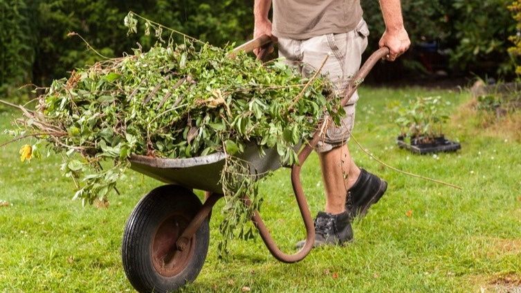 Как избавиться от садового мусора: практические советы от лесника