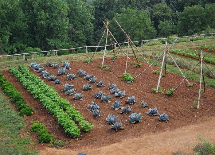 ������ �� ����� �������: ����������� ������������ ��� ���������