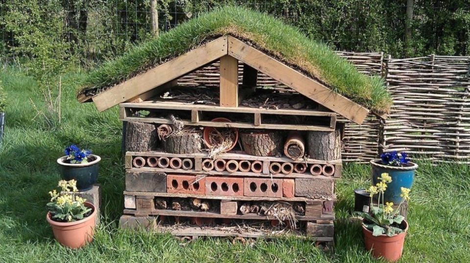 ����������� ������� ���������: ��� ����� ��� ��������� ������� ��� �������