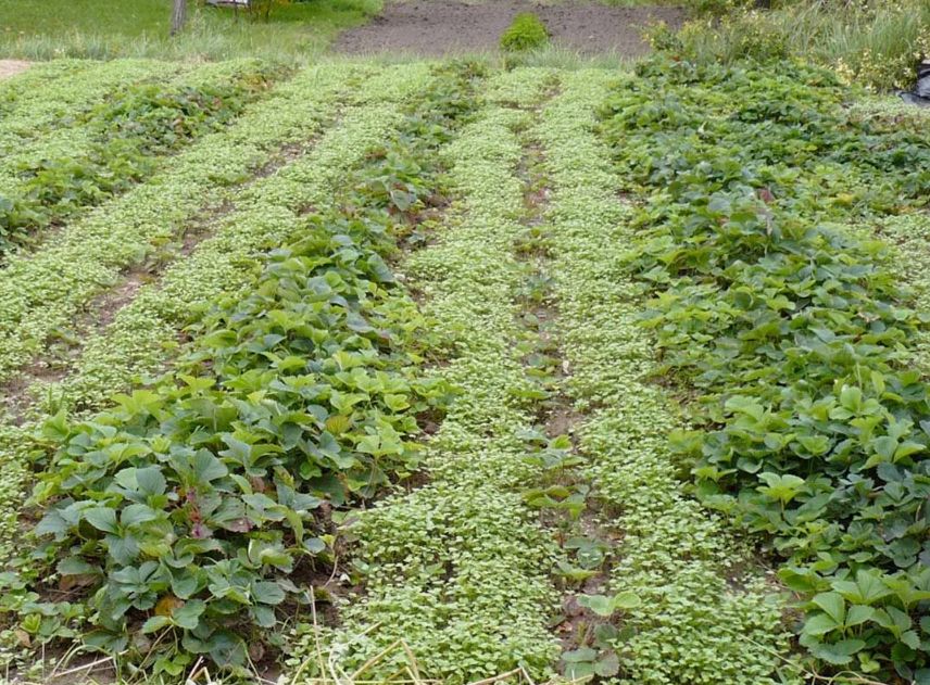 ����������: ��� ������ �������� ����������� � ������������ ���������