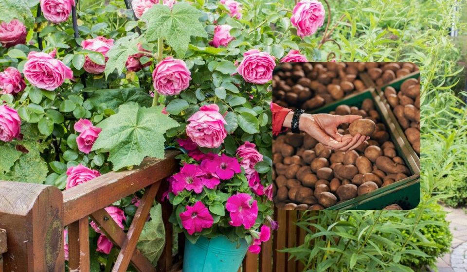 ���� � ��������: ��� ��������� ��������� ������� � ����� ����