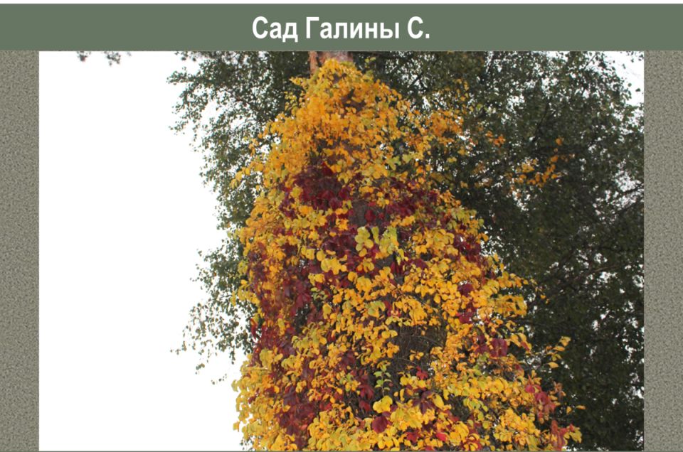 ������ � ����������: ���� � ������ � ���������� �����