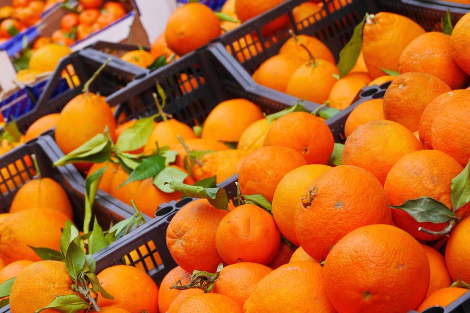 ������� ������ ������� ����������: ������� ���-����