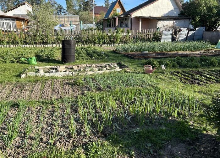 Осенние секреты компостирования: чего не нужно добавлять в компост