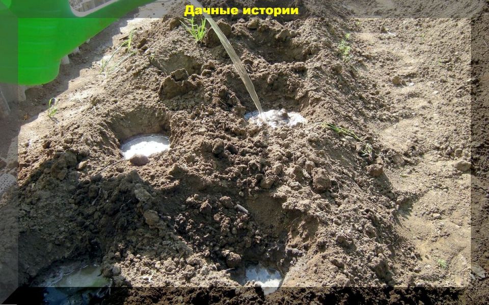 ��� �������� ����� ��� ������� ������� ��� ������������� ���������